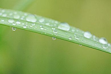 ATLUS新作《暗喻幻想：ReFantazio》 世界观、剧情、角色最新信息